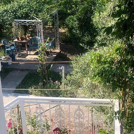 Gasthof Fori Vodo Divjaka