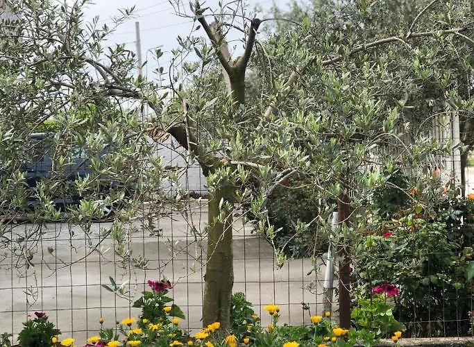 Pensión Fori Vodo Divjake