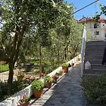 Fori Vodo Divjaka