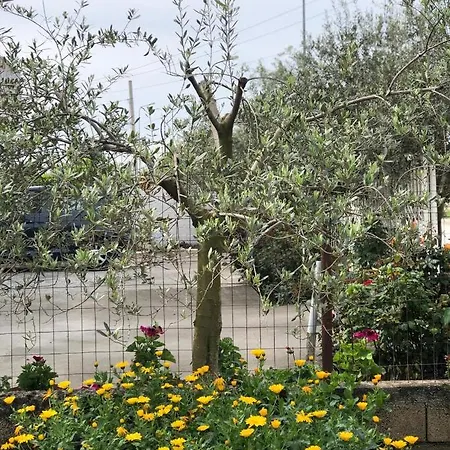 Pensionat Fori Vodo Divjake