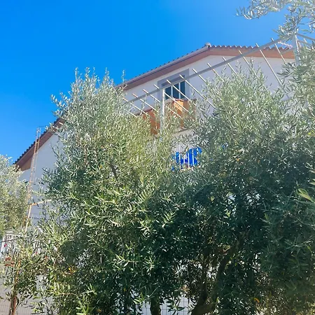 Guest house Fori Vodo Divjake